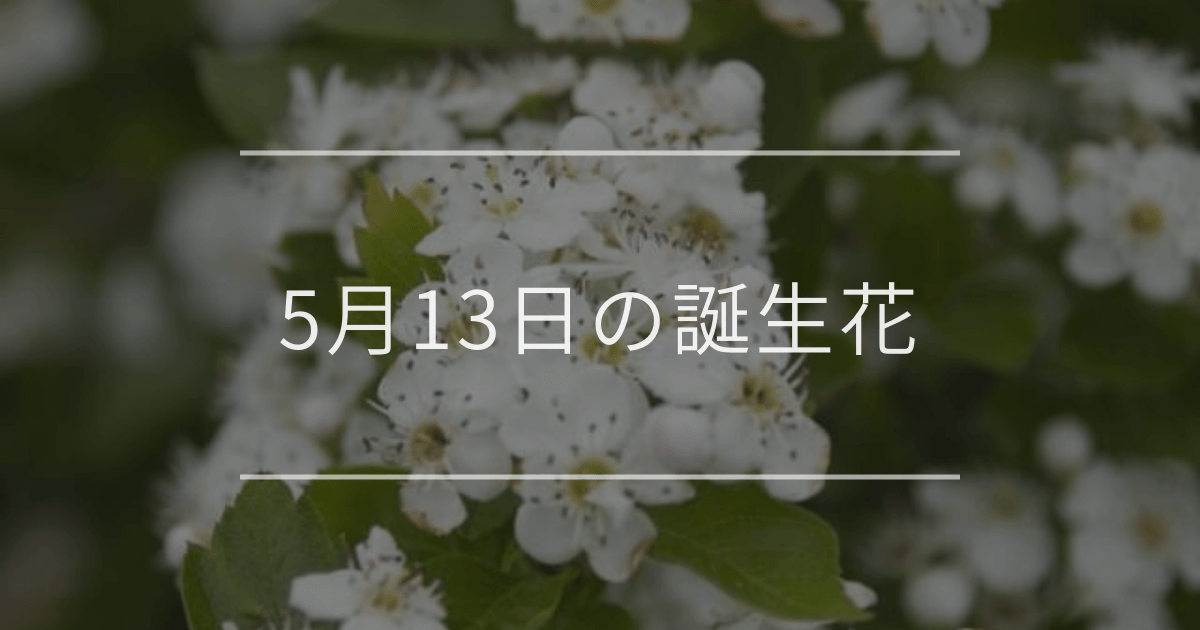 5月13日の誕生花