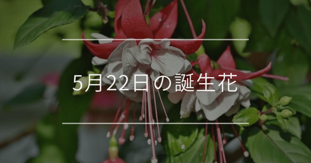 5月22日の誕生花