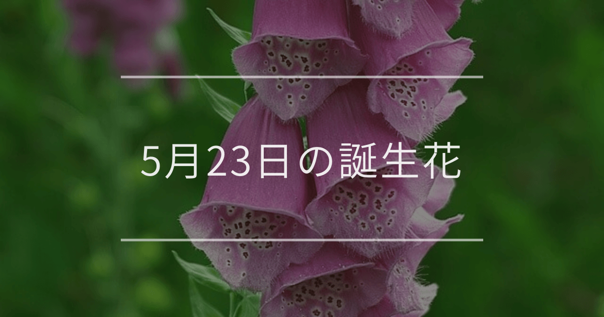 5月23日の誕生花
