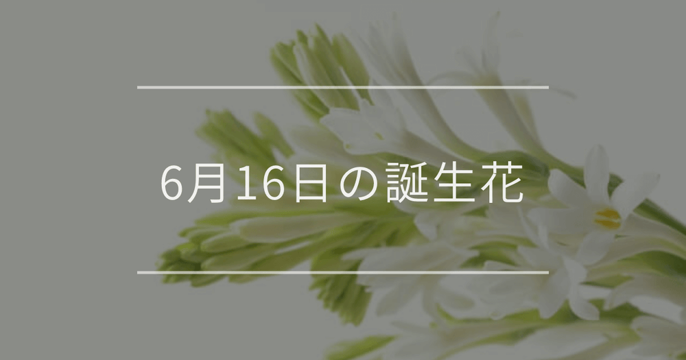 6月16日の誕生花：チューベローズ・ベロニカの花言葉など