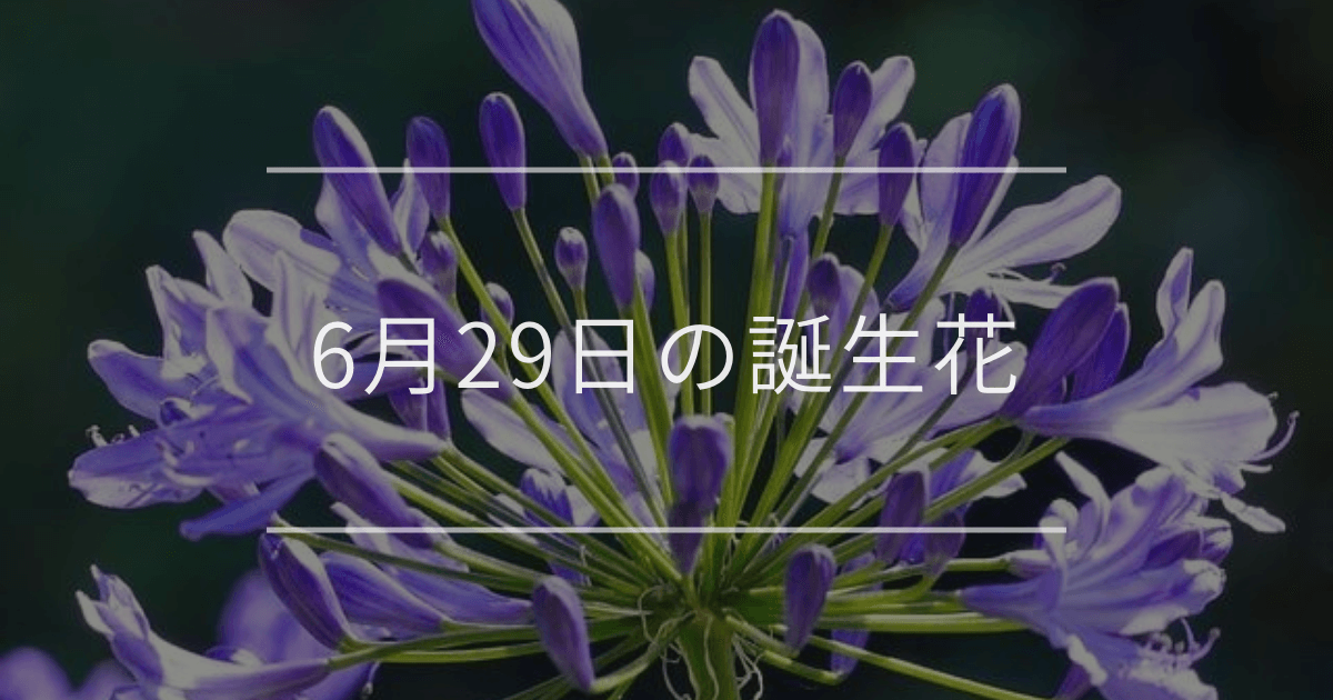 6月29日の誕生花