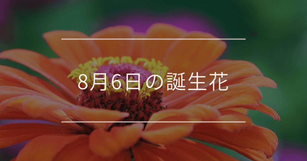8月6日の誕生花：ジニア・アサガオの花言葉など