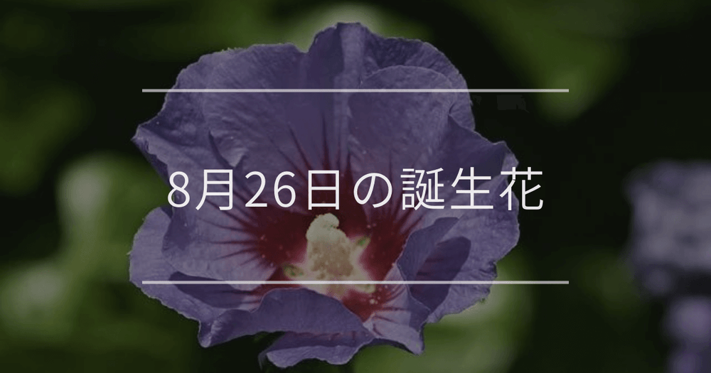 8月26日の誕生花：ムクゲ・スイセンノウの花言葉など