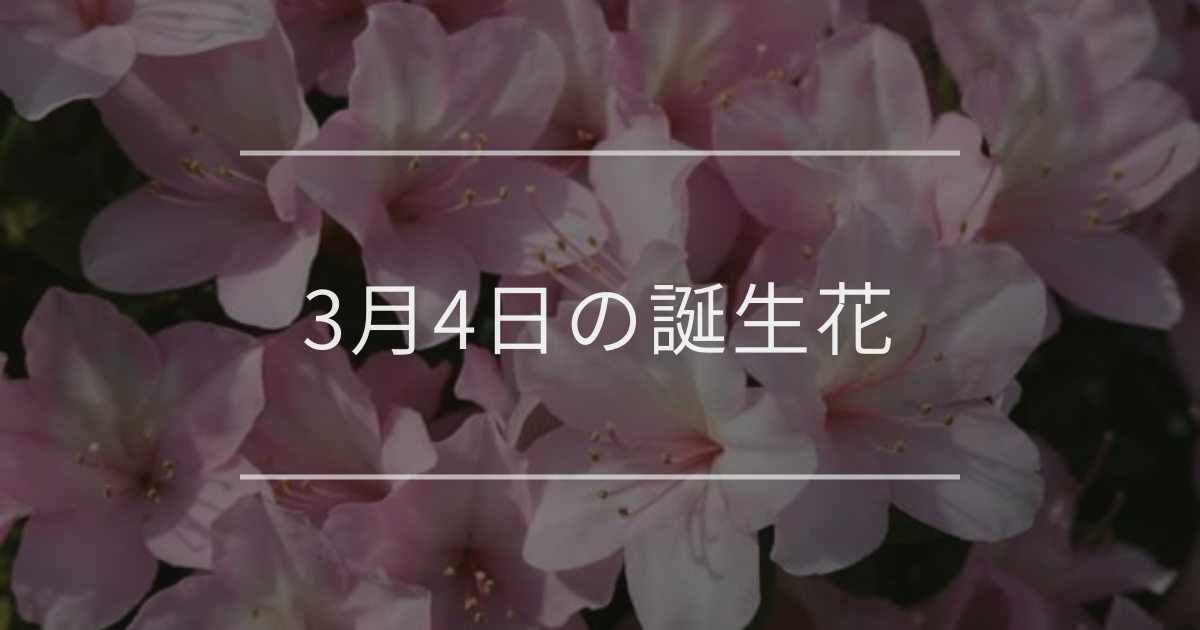 3月4日の誕生花