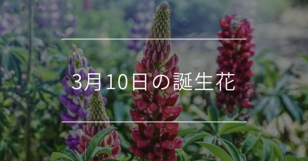 3月10日の誕生花