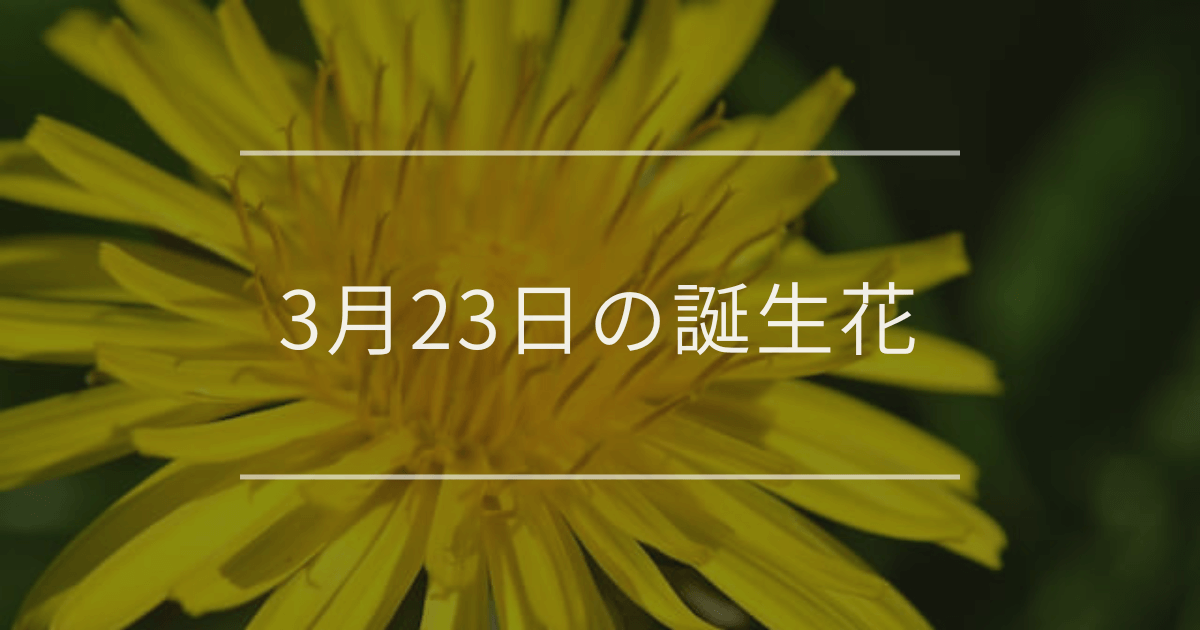 3月23日の誕生花