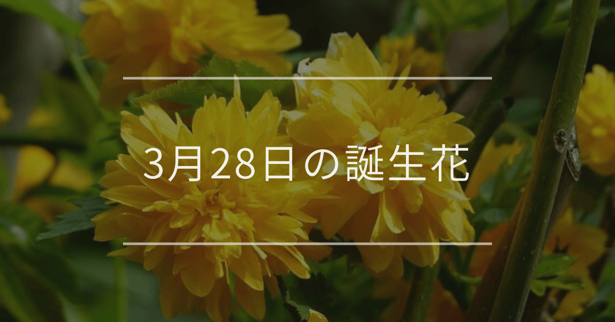 3月28日の誕生花