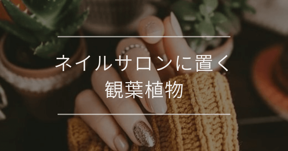 ネイルサロンに置く観葉植物｜選び方とおすすめ