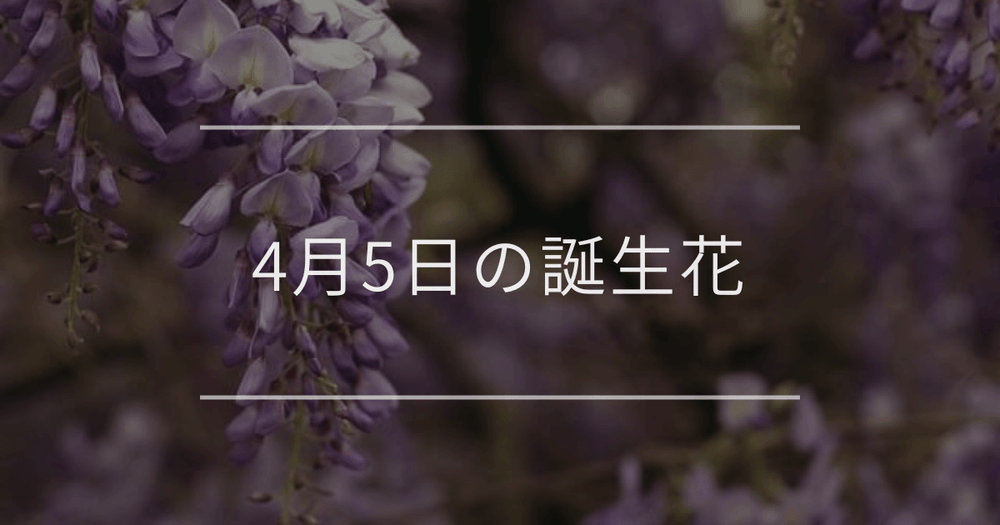 4月5日の誕生花：フジ(藤)・ワスレナグサの花言葉など