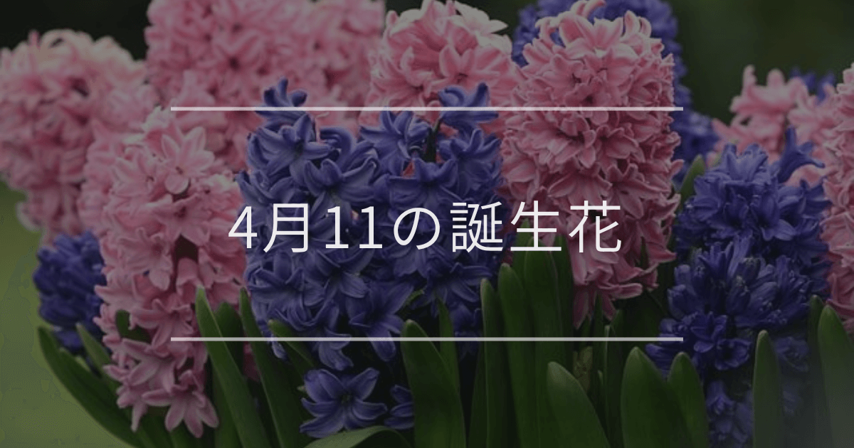 4月11日の誕生花