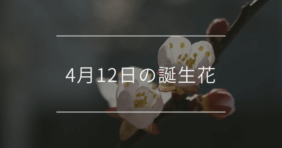 4月12日の誕生花