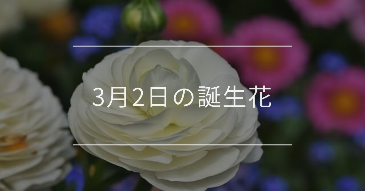 3月2日の誕生花