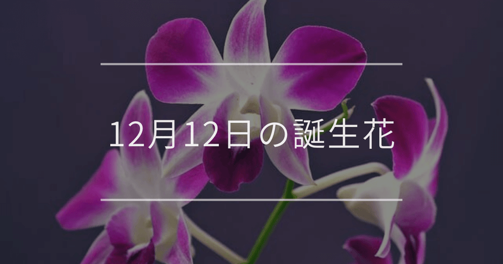 12月12日の誕生花：デンドロビウム・ハルジオンの花言葉など