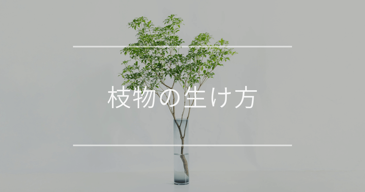 【初心者必見】枝物の生け方｜ケア方法からおしゃれな魅せ方まで紹介