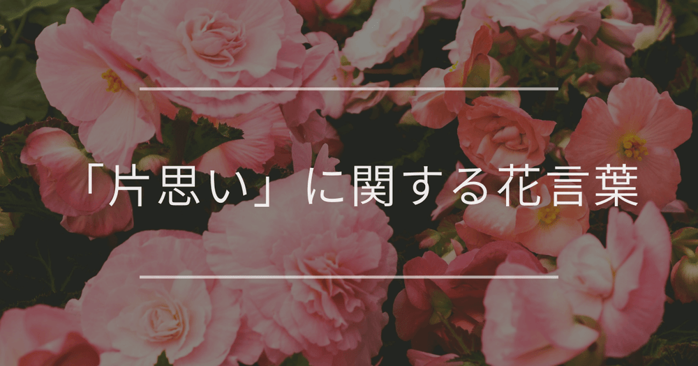 「片思い」に関する花言葉｜恋愛のときめきや切なさを表すお花一覧