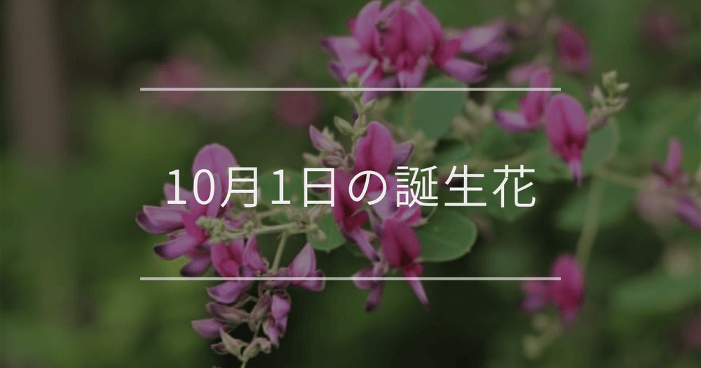 10月1日の誕生花：ハギ・モミジアオイの花言葉など