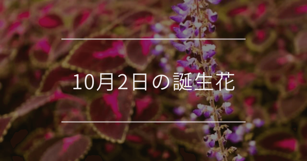 10月2日の誕生花