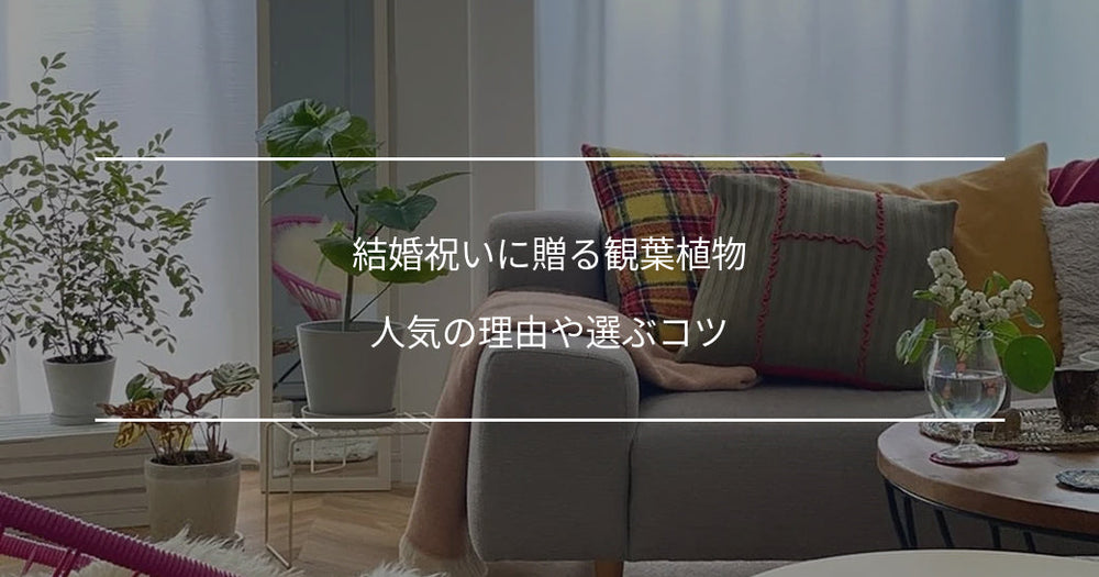 結婚祝いに贈る観葉植物8選｜人気の理由や選ぶコツ
