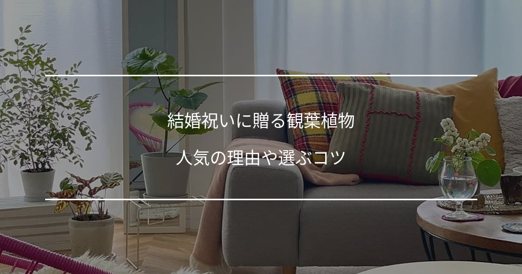 結婚祝いに贈る観葉植物8選｜人気の理由や選ぶコツ