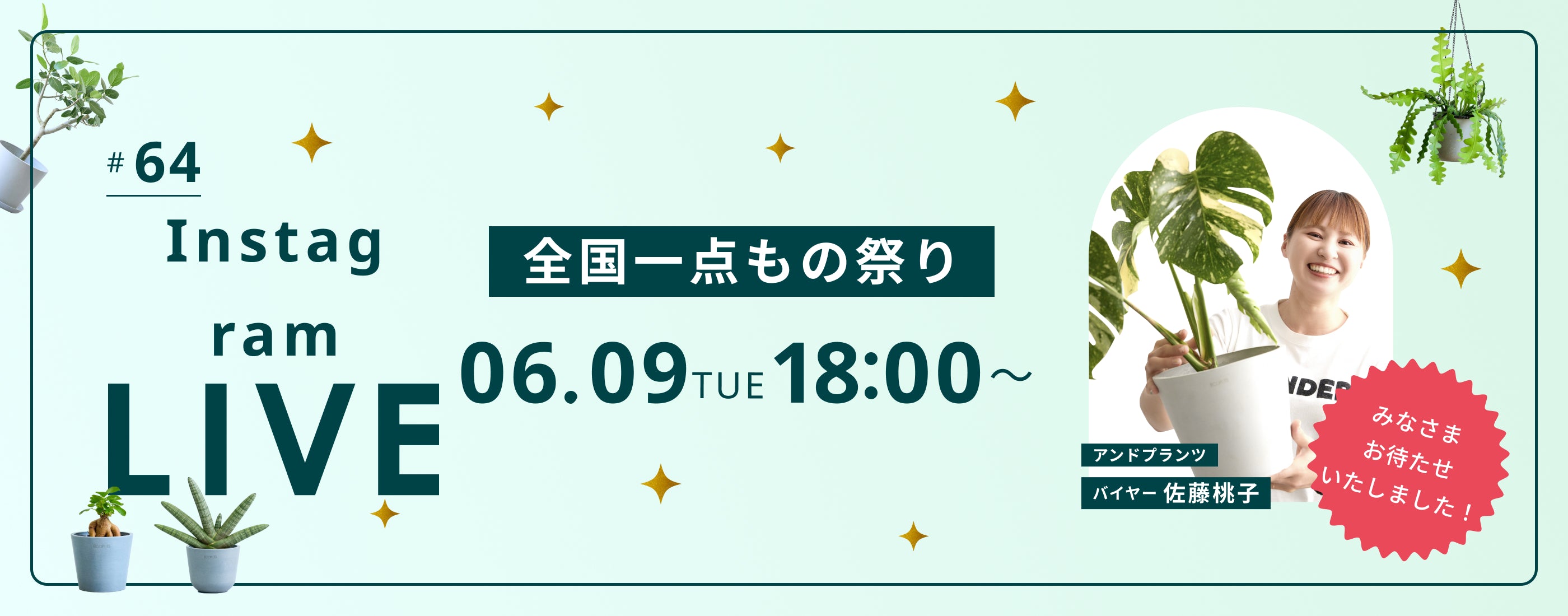 ライブ販売