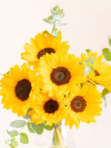 【7月の誕生花】定番のひまわり花束 M