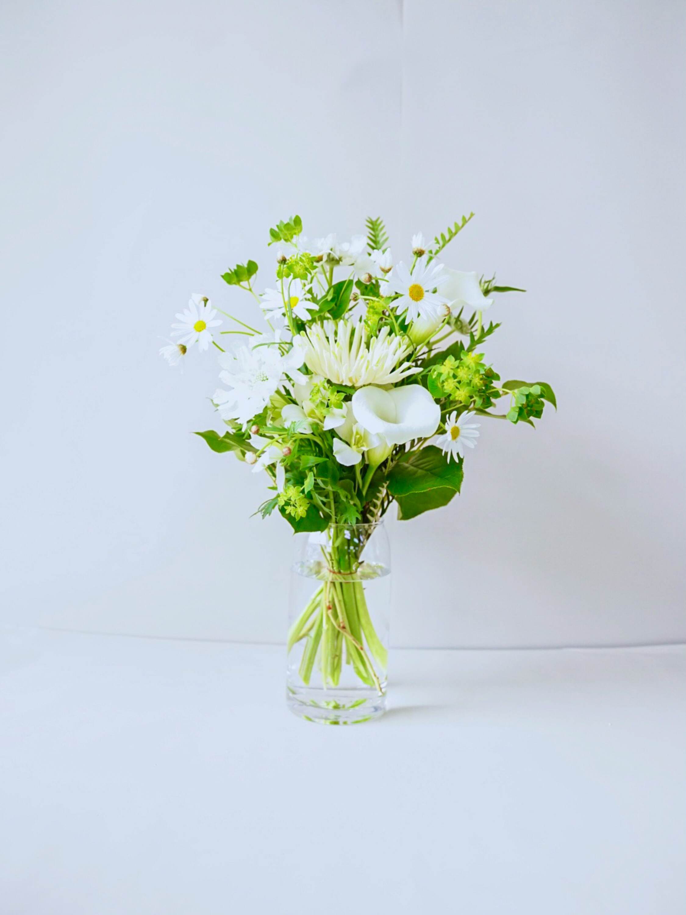 【誕生日ギフト】 フローリストにおまかせ 季節の花束 M - グリーン&ホワイト -