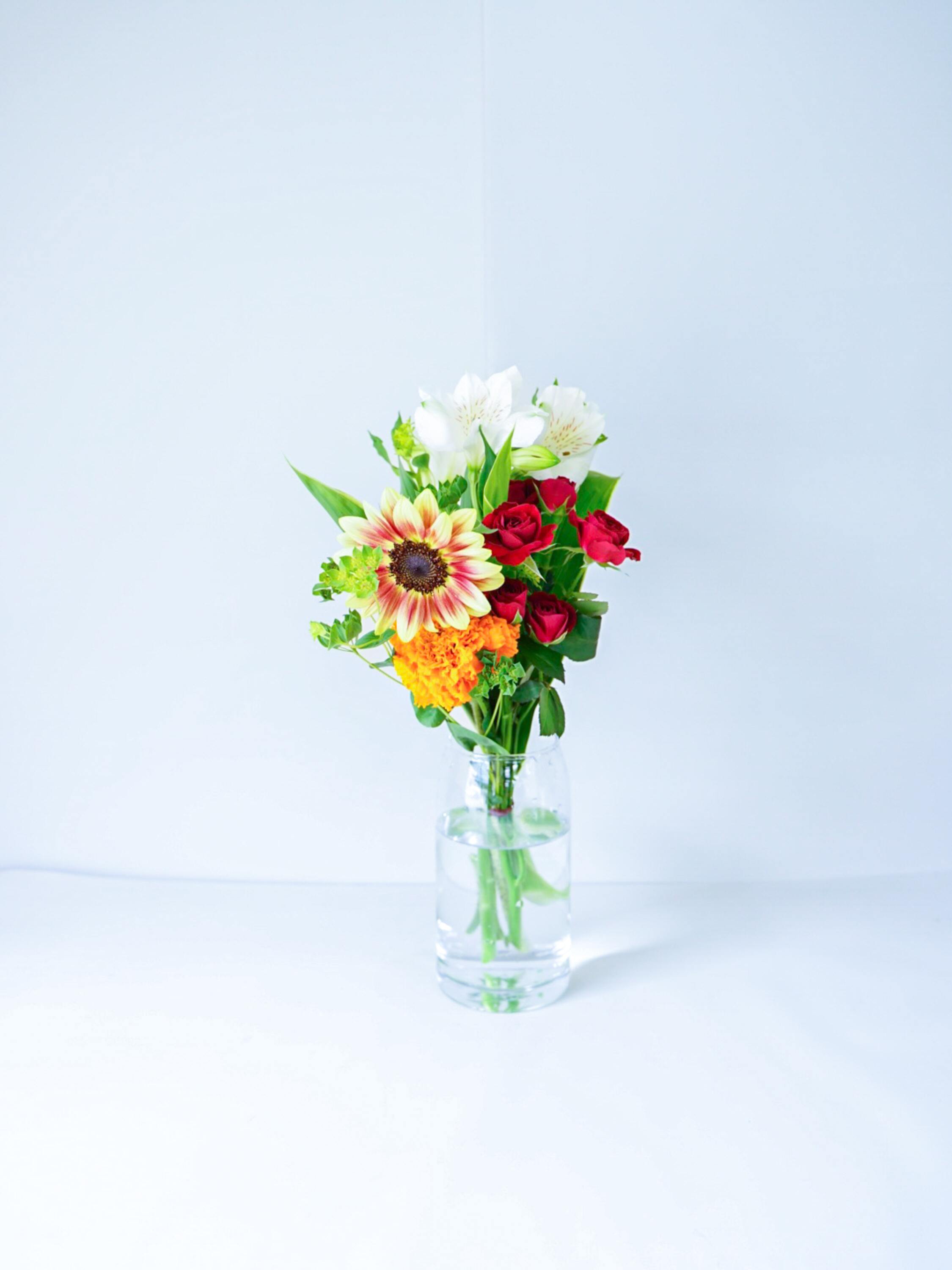 【誕生日ギフト】 フローリストにおまかせ 季節の花束 S - ミックス -