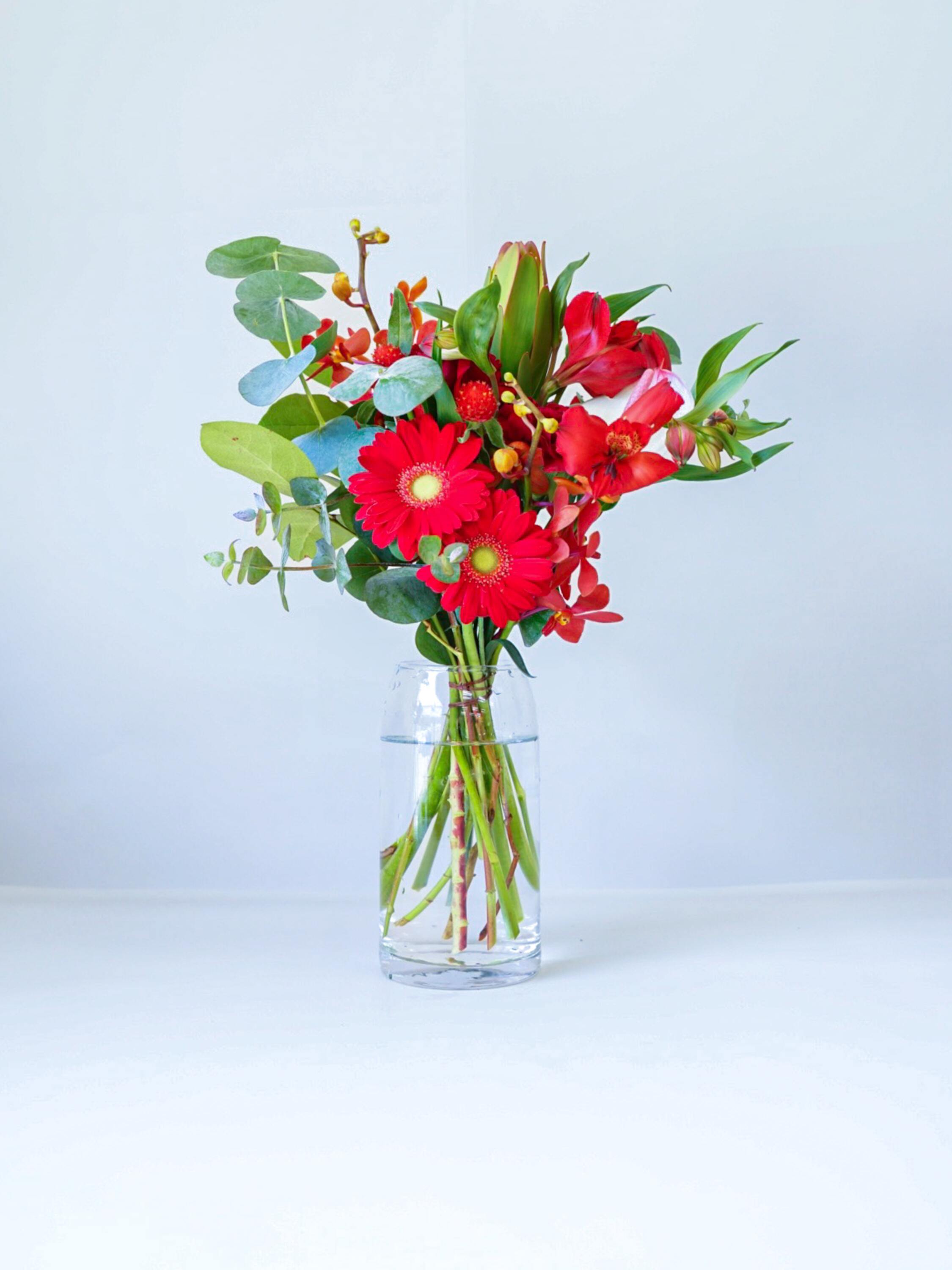 【店舗配送】フローリストにおまかせ 季節の花束 M - レッド -
