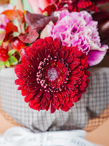【オータム】そのまま飾れる秋色ベロアレッドの花束 M