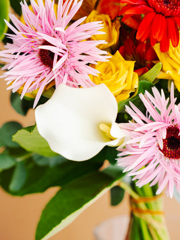 【10月の誕生花】ガーベラの花束L -ミックス-