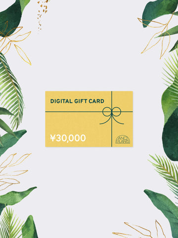 DIGITAL GIFT CARD 30,000円