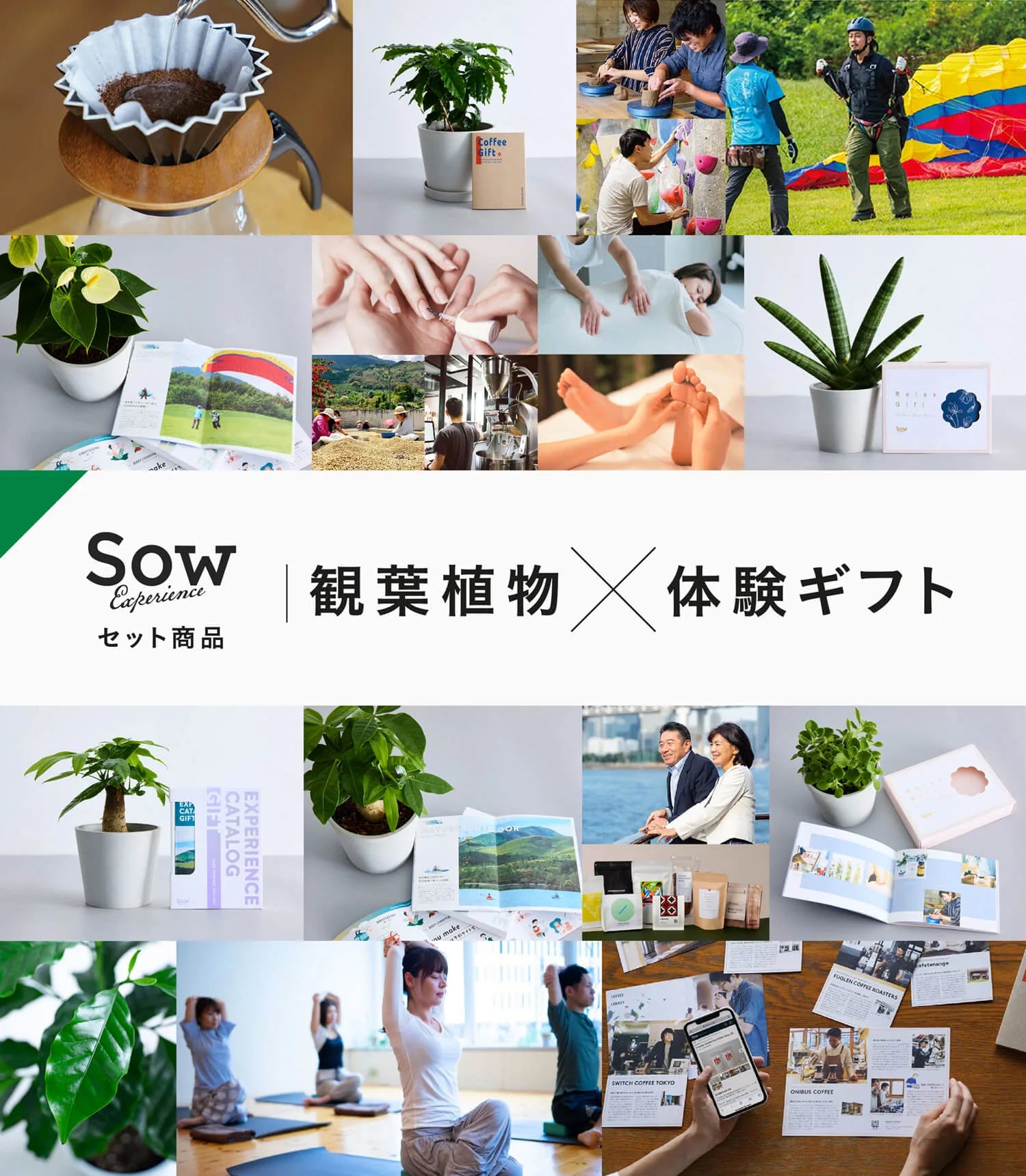 SOW EXPERIENCEの体験ギフトと観葉植物のギフトセット特集