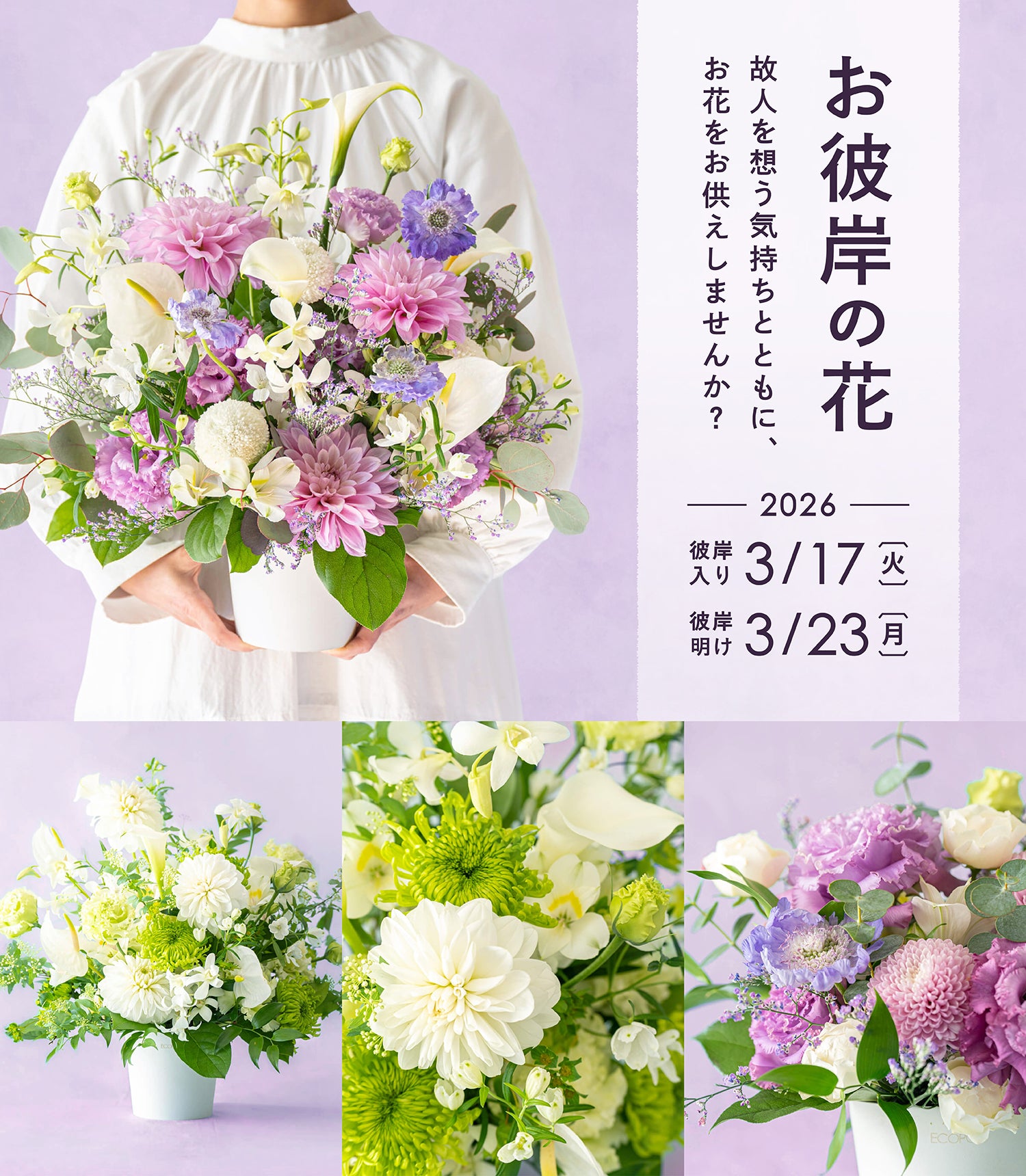 お彼岸の花