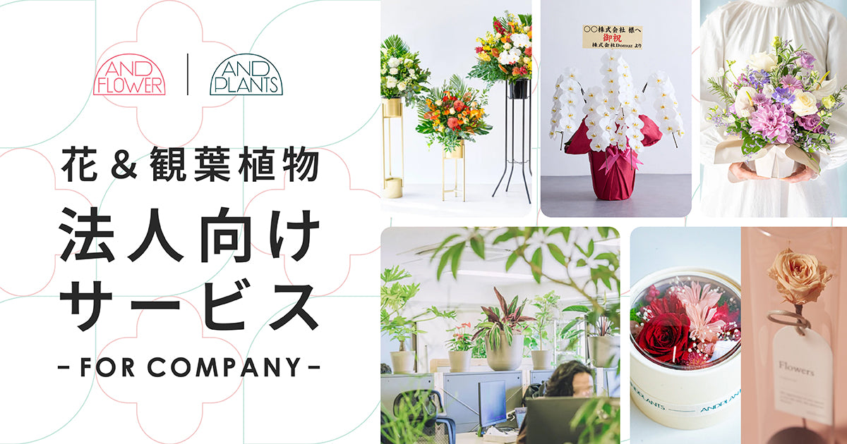 法人向けサービス