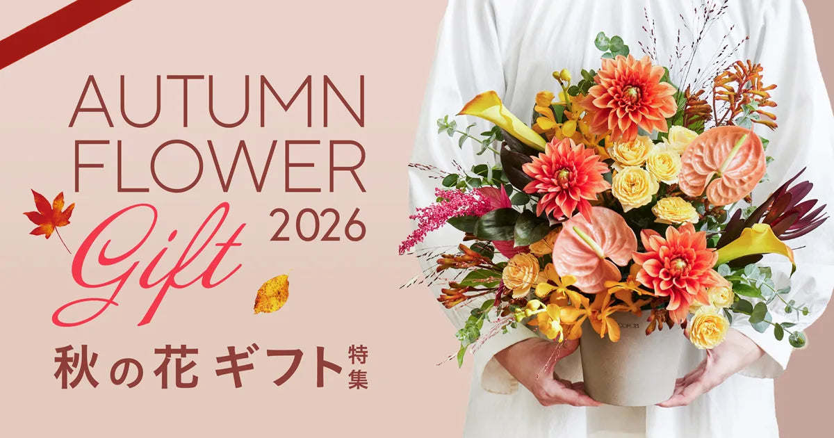 秋季限定フラワーコレクション