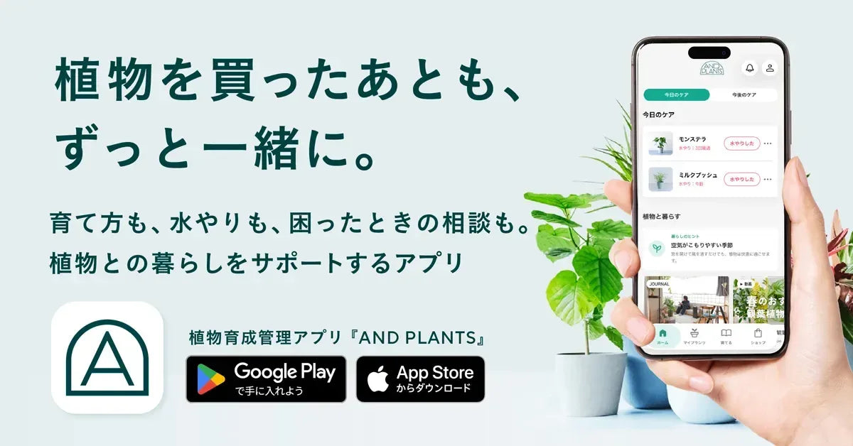 植物を買ったあとも、ずっと一緒に。育て方も、水やりも、困ったときの相談も。植物との暮らしをサポートする植物育成管理アプリ「AND PLANTS」