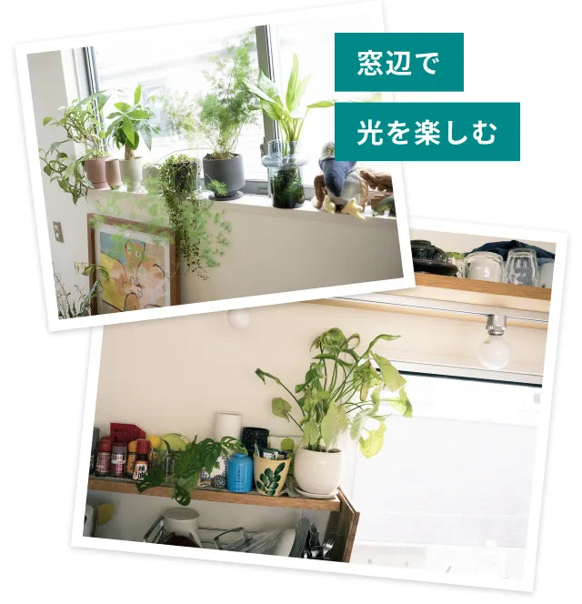 窓辺で光を楽しむ飾り方の実例