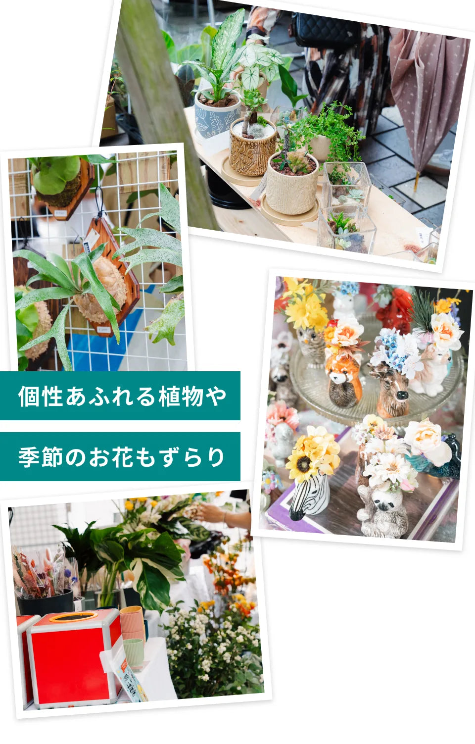 個性あふれる植物や季節のお花もずらり