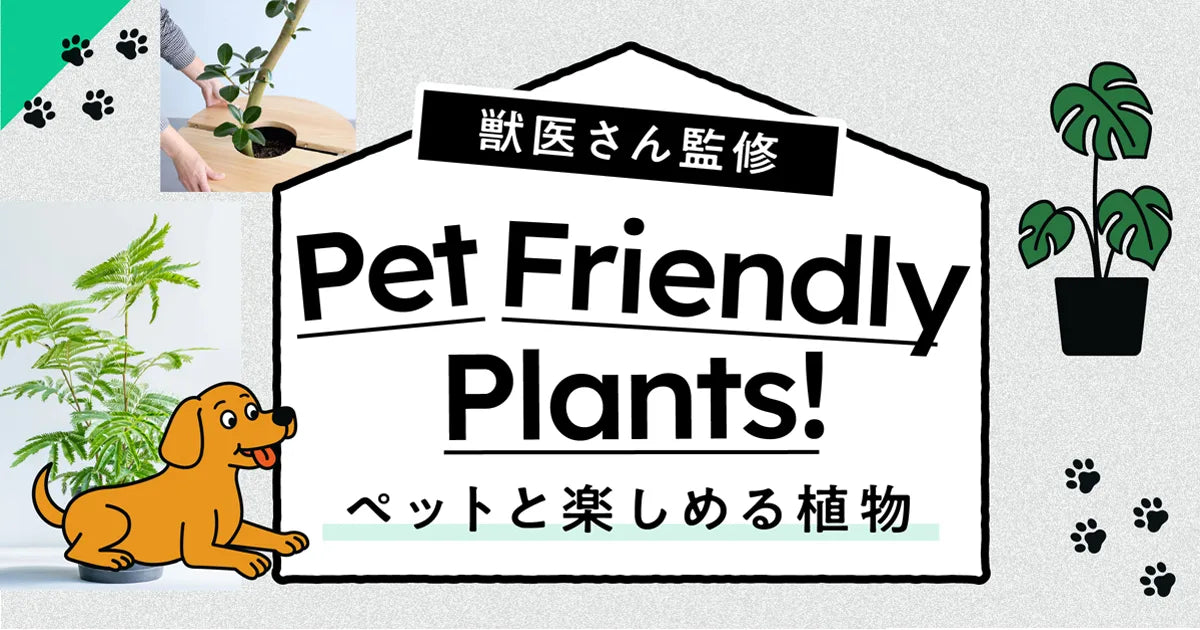 ペットと楽しめる安全な植物
