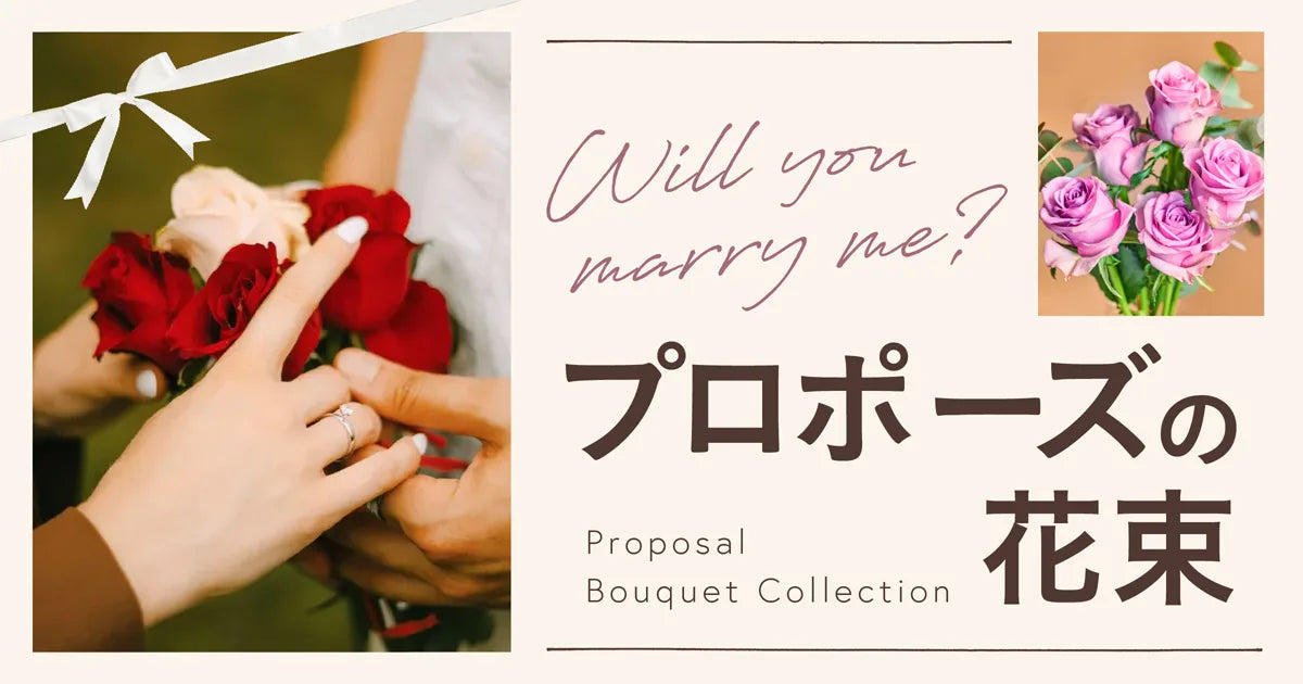 プロポーズの花束 Proposal Bouquet Collection