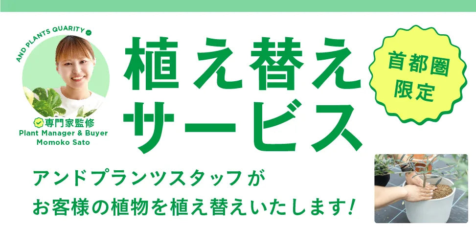 植え替えサービス