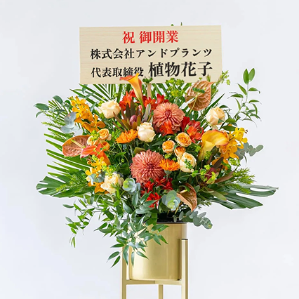 開店開業祝い