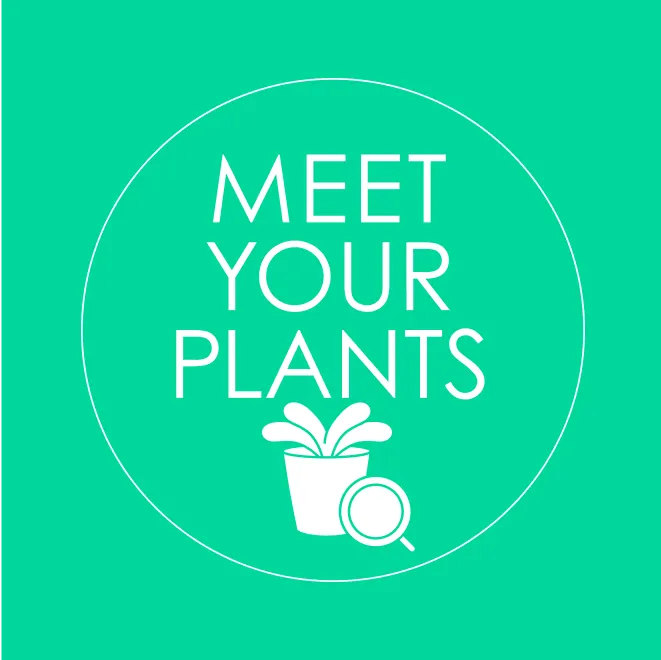 パーソナル植物診断