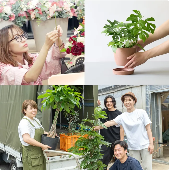 sunflowers_service_img_01