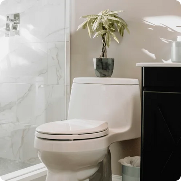 トイレにおすすめの観葉植物