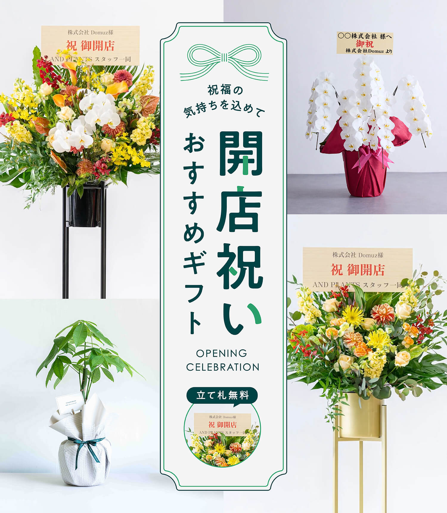 開業祝い・開店祝い・開院祝いにおすすめの花